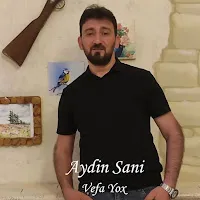Aydın Sani — Vefa Yox — обложка